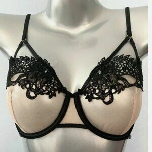 Victorias Secret Luxe Nude & Black Sheer Dragon Applique Balconet Bra 36DD 36E